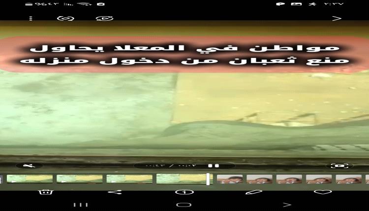 شاهد بالفيديو.. مواطن في المعلا بعدن يصارع ثعبان لمنعه من دخول الى منزله