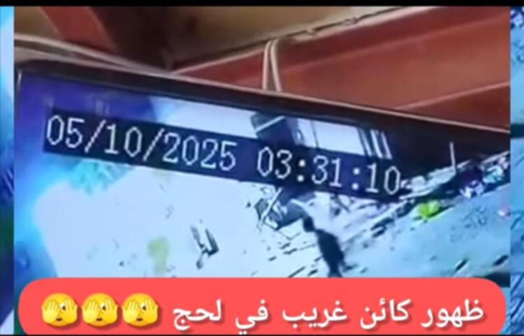 ظهور غامض في الحوطة… كائن مجهول يتجول تحت جنح الظلام