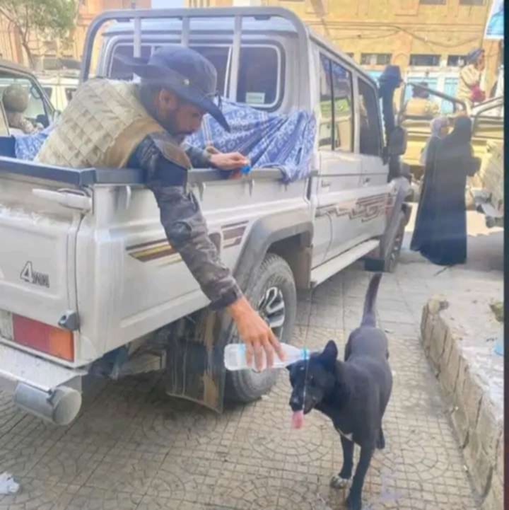 في لحظة مؤثرةوانسانيه.. مرافق وزير الدفاع يسقي كلباً عطشاناً وسط تعز