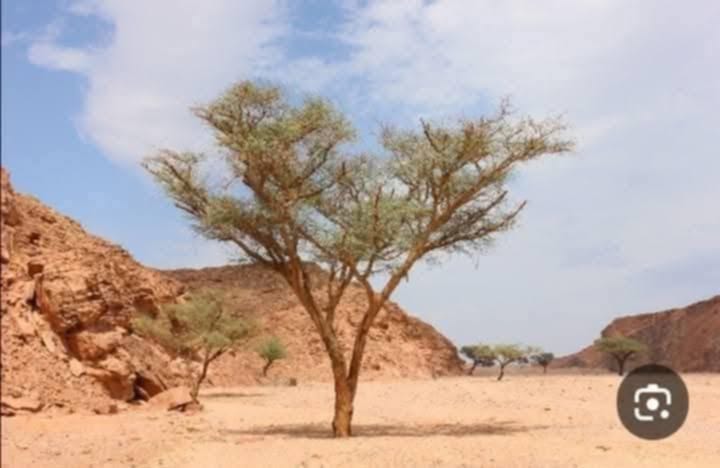 رسالة من أم إلى وزير التربية والتعليم..