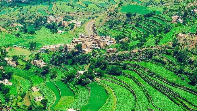 قتلى وجرحى في محاولة تقطع استهدفت مغترب بمحافظة إب