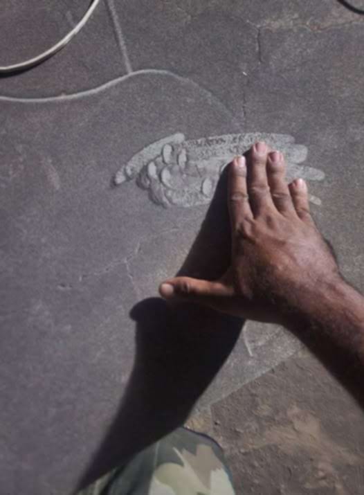  تحذيرات عاجلة في عدن: مركز الطوارئ يوصي بإغلاق المنازل وتعليق الدراسة