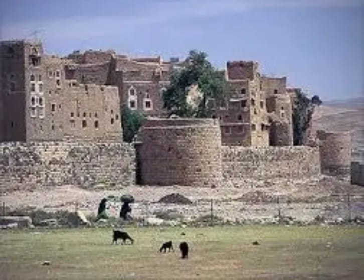 جريمة مروعة تهز عمران… زوج يقتل زوجته وأم أطفاله الستة بالرصاص