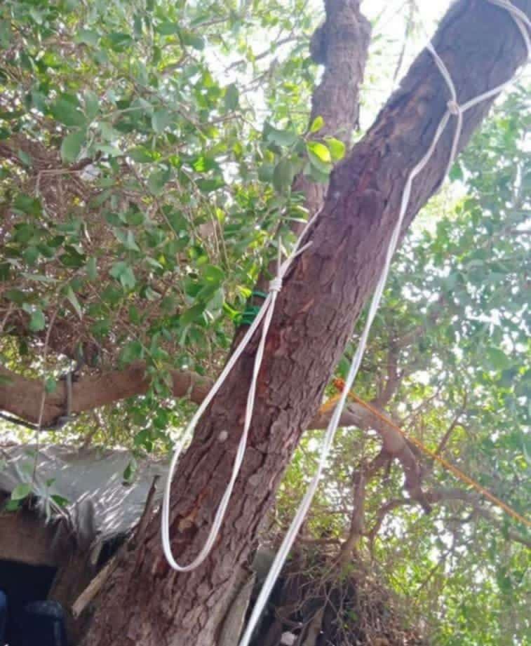 القبض على شاب بتهمة ابتزاز فتاة بصورها: تفاصيل مؤلمة تكشفها الضحية